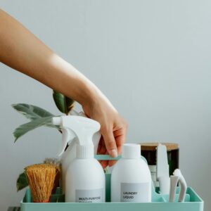 Storage Trays